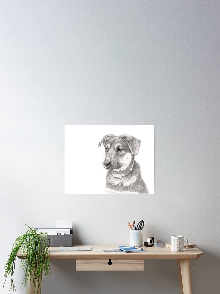 Dessin Au Crayon Original Chiot Berger Allemand Poster