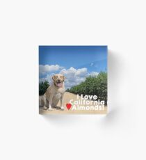 Lab Love California Almonds Acrylic Block