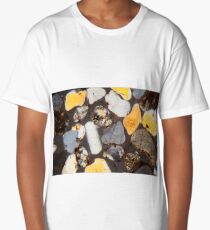 Thin section of desert sand grains under the microscope and in polarized light Long T-Shirt