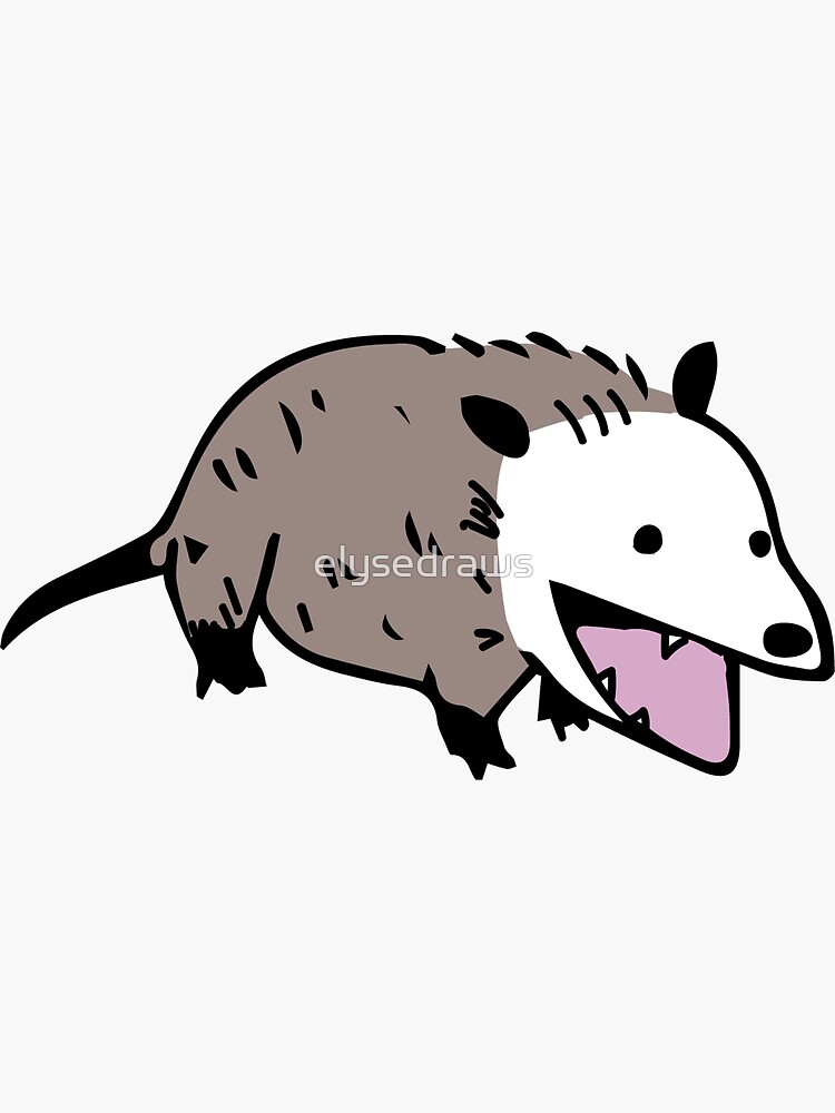 Quirky Possum
