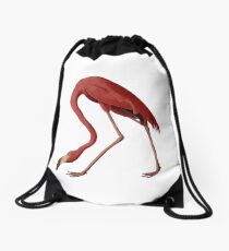 American Animals: Flamingo Drawstring Bag