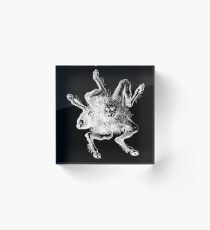 Buer, President of Hell Acrylic Block