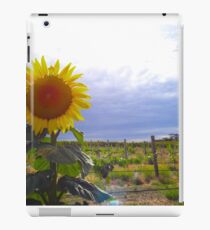 Sunflowers And Vineyards - McLarenVale South Australia iPad Case/Skin