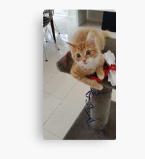 I LOVE PLAYING WITH MY TOY...... Canvas Print