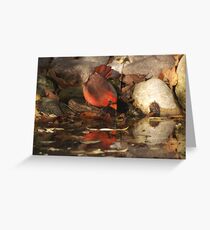 A Red Reflection. Greeting Card