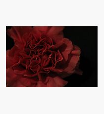 open. Photographic Print