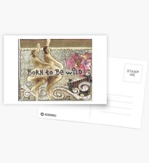 Born To Be Wild Postcards