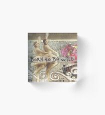 Born To Be Wild Acrylic Block