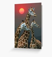SUNSET WITH GIRAFFES 3 Greeting Card