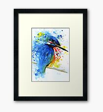 Watercolour Kingfisher Framed Print