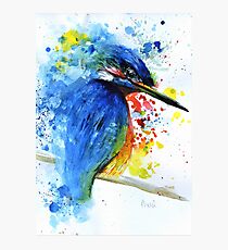 Watercolour Kingfisher Photographic Print