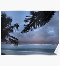 The Palm Before The Storm - Kenya Africa Poster