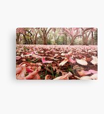 A Study In Pink Metal Print
