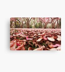 A Study In Pink Canvas Print
