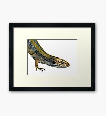 Lizard Reptile Watercolor Painting Wildlife Artwork Framed Print