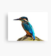 bird Canvas Print