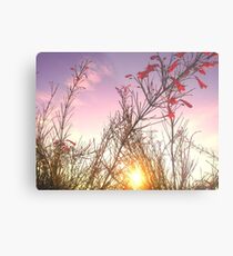 Earth & Sky Metal Print
