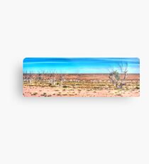 Lake. Where? Metal Print