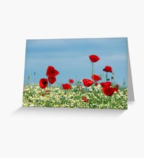 red poppy and chamomile wild flowers Greeting Card