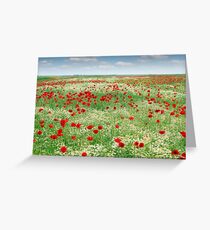 wild flowers meadow landscape spring season Greeting Card
