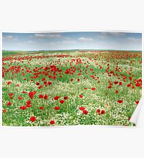 wild flowers meadow landscape spring season Poster