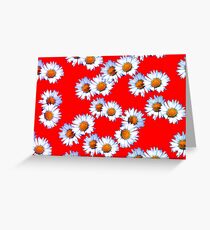 Red and White Daisy Greeting Card