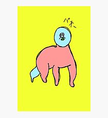 PAOOO Photographic Print