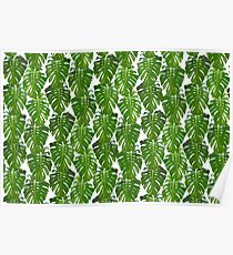 Monstera leaf pattern - palm tree design - Monstera leaves Poster