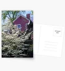 Pink Victorian House Postcards