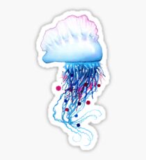 Manowar Jellyfish Sticker