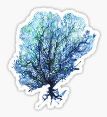 Fan Coral - Aqua Sticker