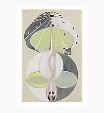 HD Tree of Knowledge No. 5, by Hilma af Klint 1907 HIGH DEFINITION Photographic Print