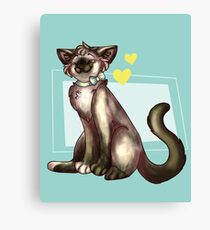 China Cat! Canvas Print