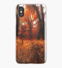 4652 iPhone Case