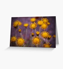 Amarillas Greeting Card