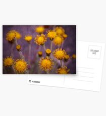 Amarillas Postcards