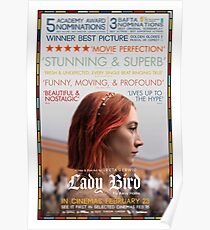 Lady Bird Critics Film Poster Poster