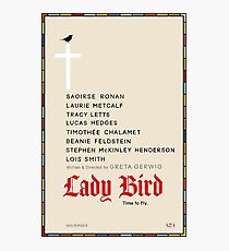 Minimalist Lady Bird Poster Photographic Print