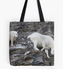 Rock Climbing Family Tote Bag