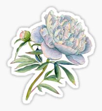 Peony in watercolor and ink by farrahdelle Sticker
