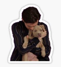 tom holland puppy interview Sticker