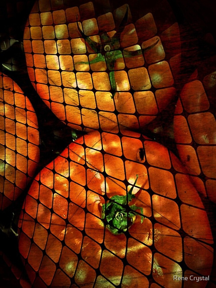 Tomatoes - That's A Wrap! by imagesbycrystal