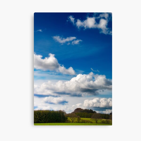 Summer fields 3 Canvas Print