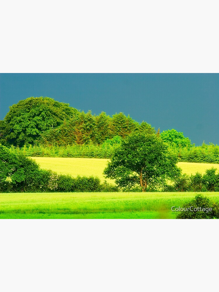Greener than green by ColourCottage