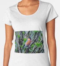 Bullfinch in breeding trim Women's Premium T-Shirt