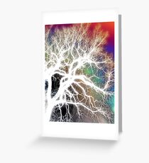 Branches Greeting Card