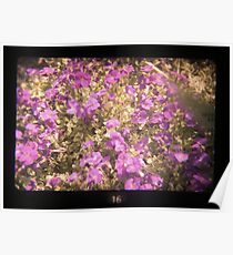 TtV Aubritia Poster