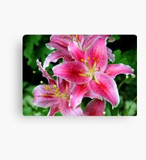 Stargazer Canvas Print