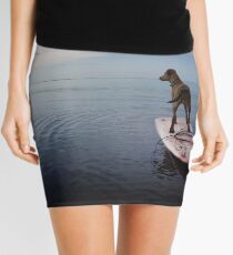 Owning the day Mini Skirt