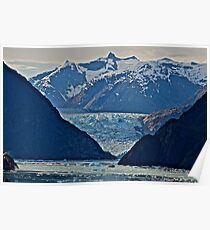 Glaciers Poster